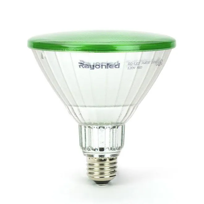 PAR38 Non-Dimmable LED Bulb 15W 110W Equivalent E26 3000K 38º Beam Indoor/Outdoor Floodlight - Green
