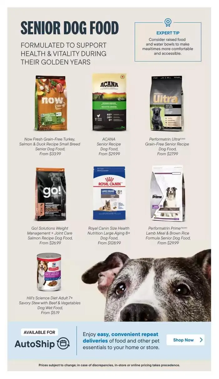 Devoted Dog Parent Guide from February 13 to February 28 2025 - flyer page 10