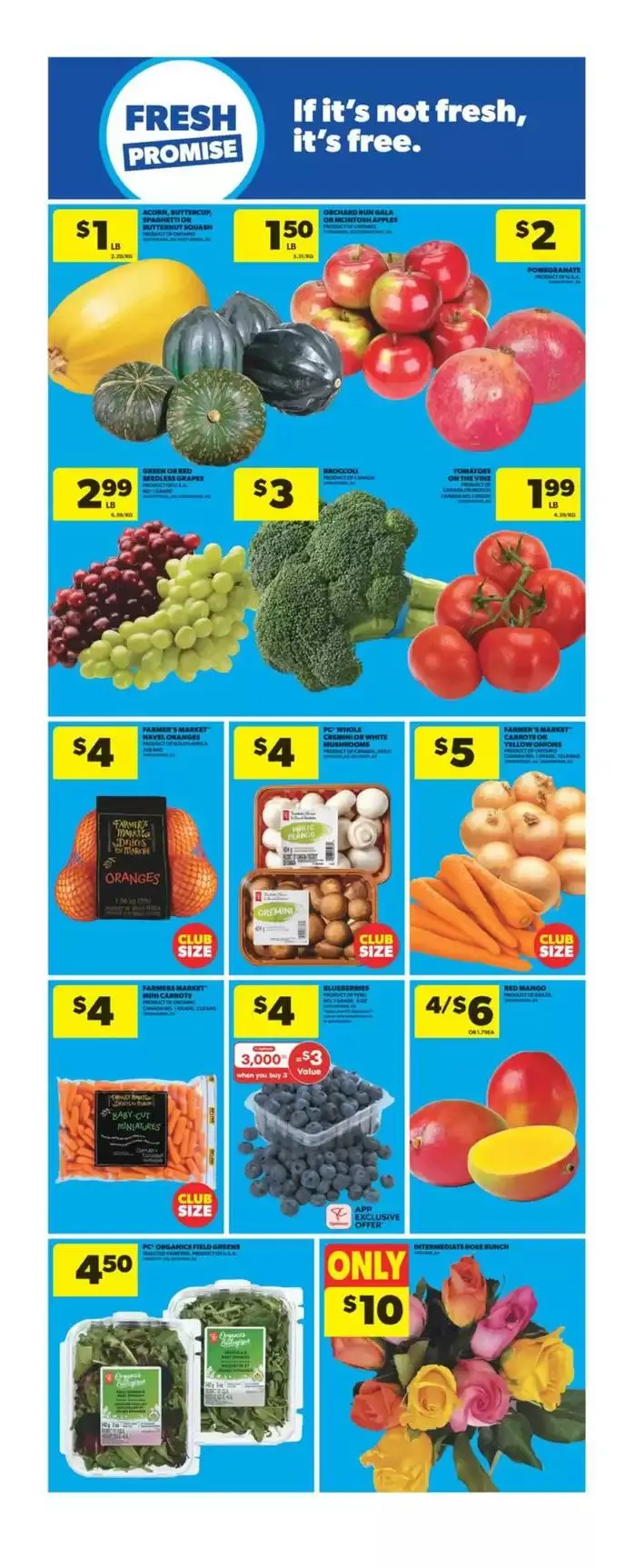 Offers for bargain hunters from October 17 to October 23 2024 - flyer page 8