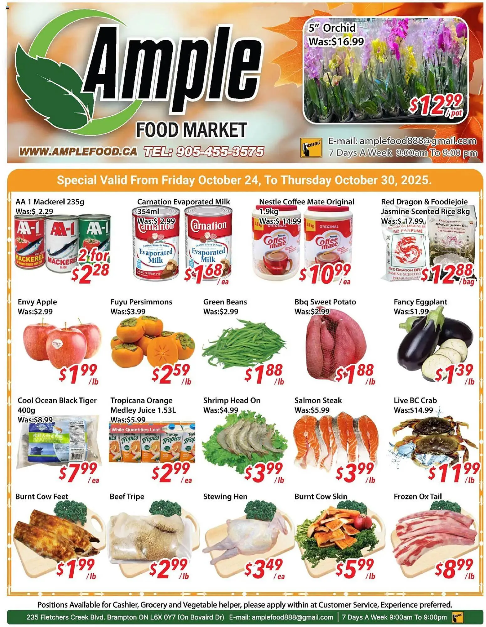 Ample Food Market flyer from October 24 to October 31 2025 - flyer page 1