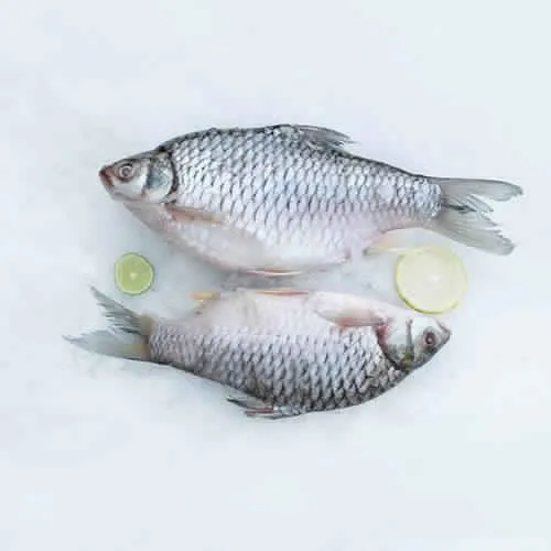 The Rose Deshi Puti Olive Barb (250g)