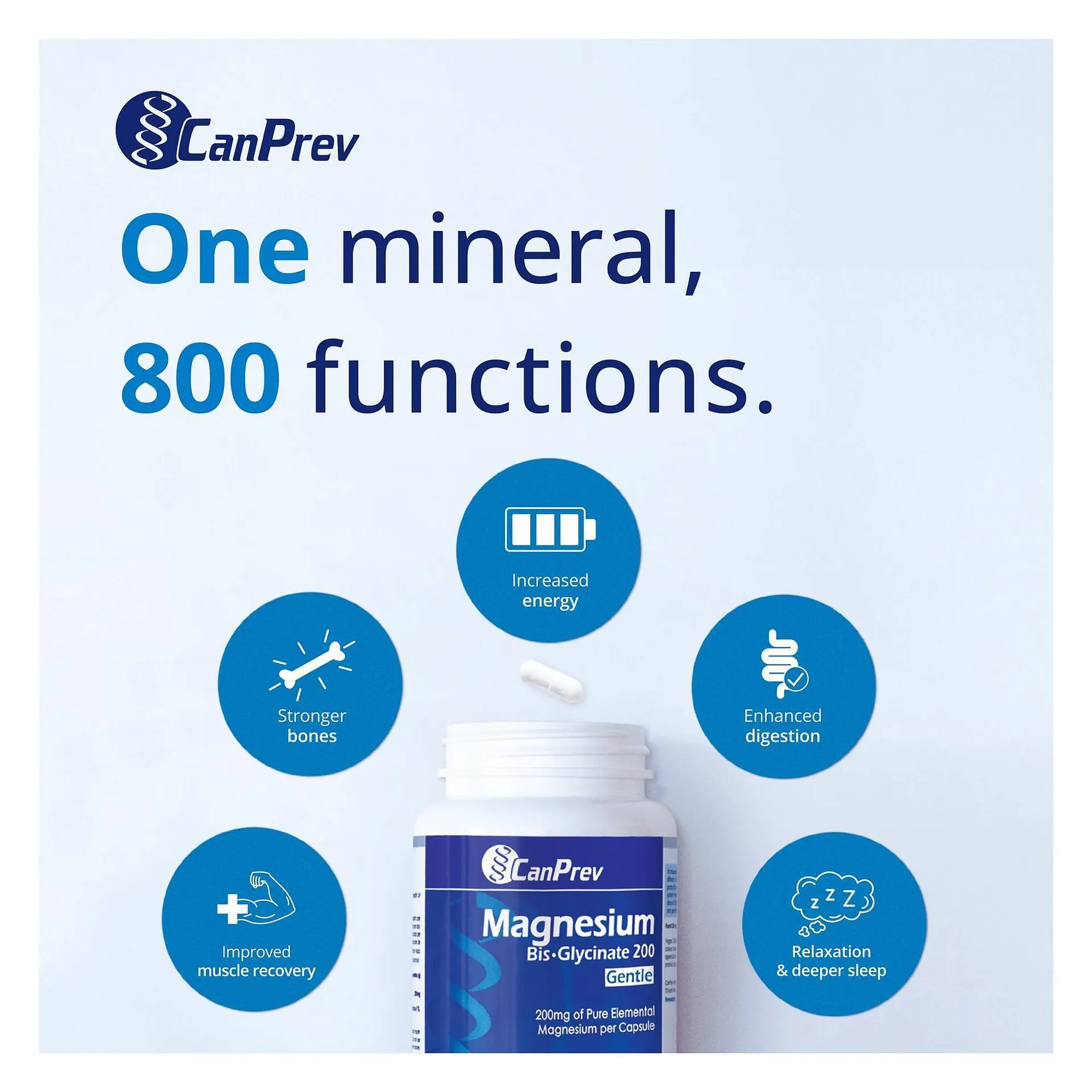 Ambrosia Natural Foods flyer from February 1 to February 28 2026 - flyer page 4