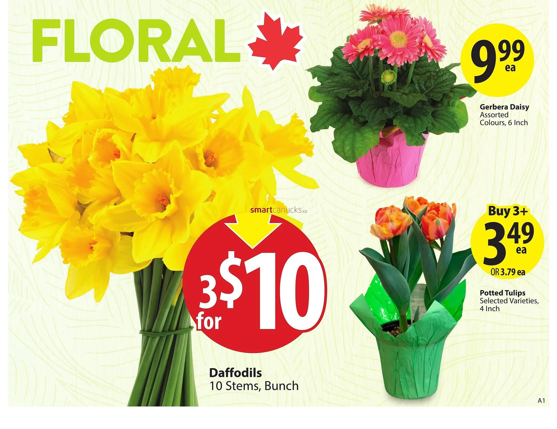 Save on Foods flyer from March 26 to April 1 2025 - flyer page 4