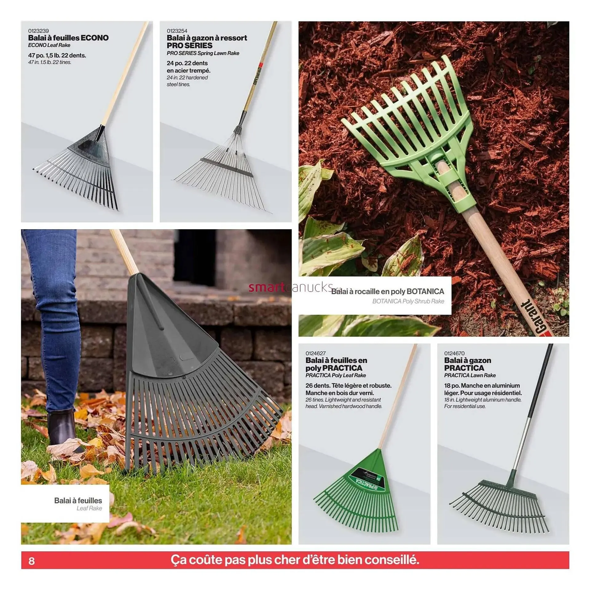 Patrick Morin flyer from April 2 to April 30 2025 - flyer page 8