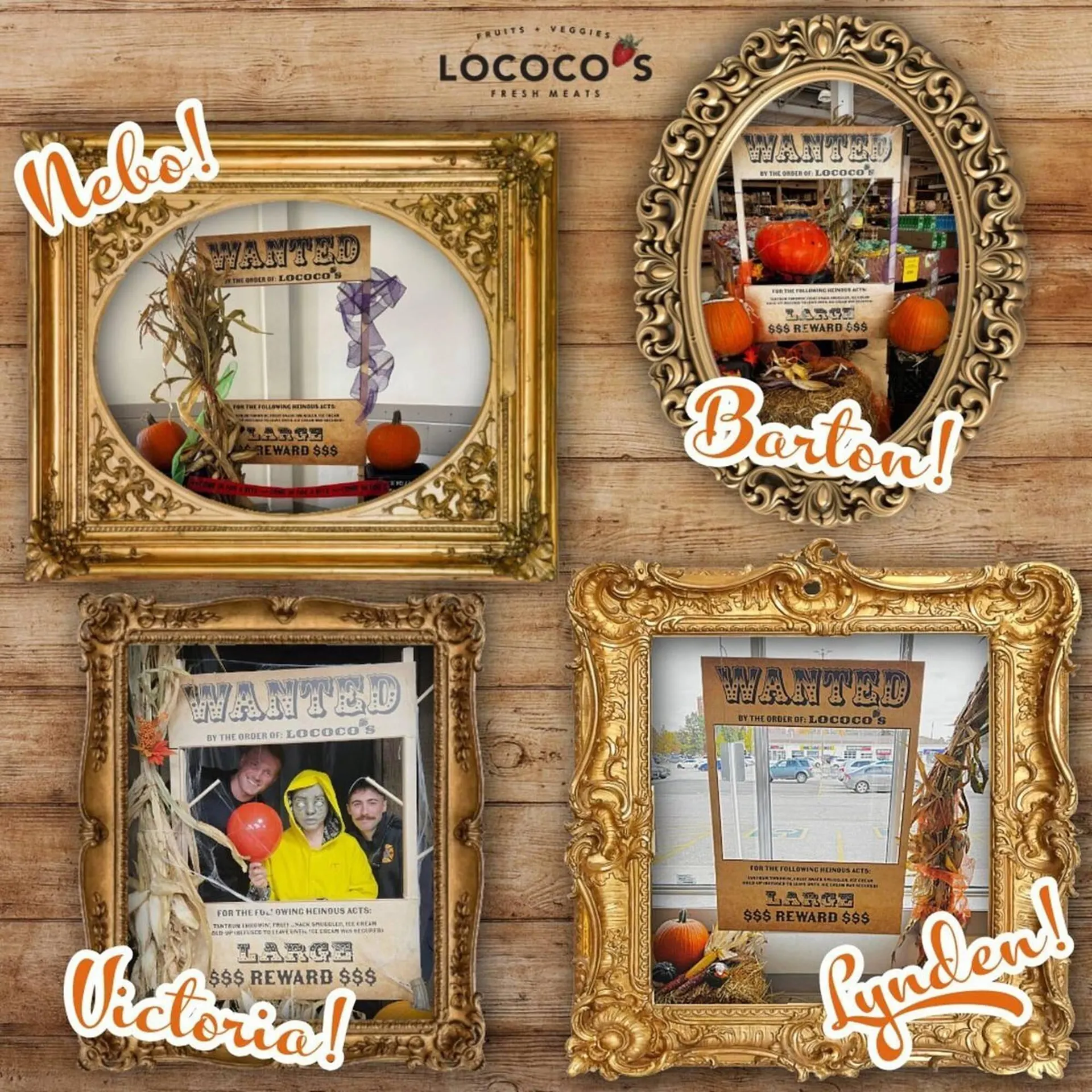 Lococos flyer - 1