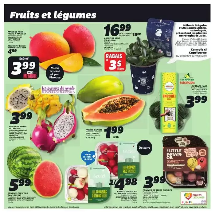 Quebec from January 9 to January 15 2025 - flyer page 5