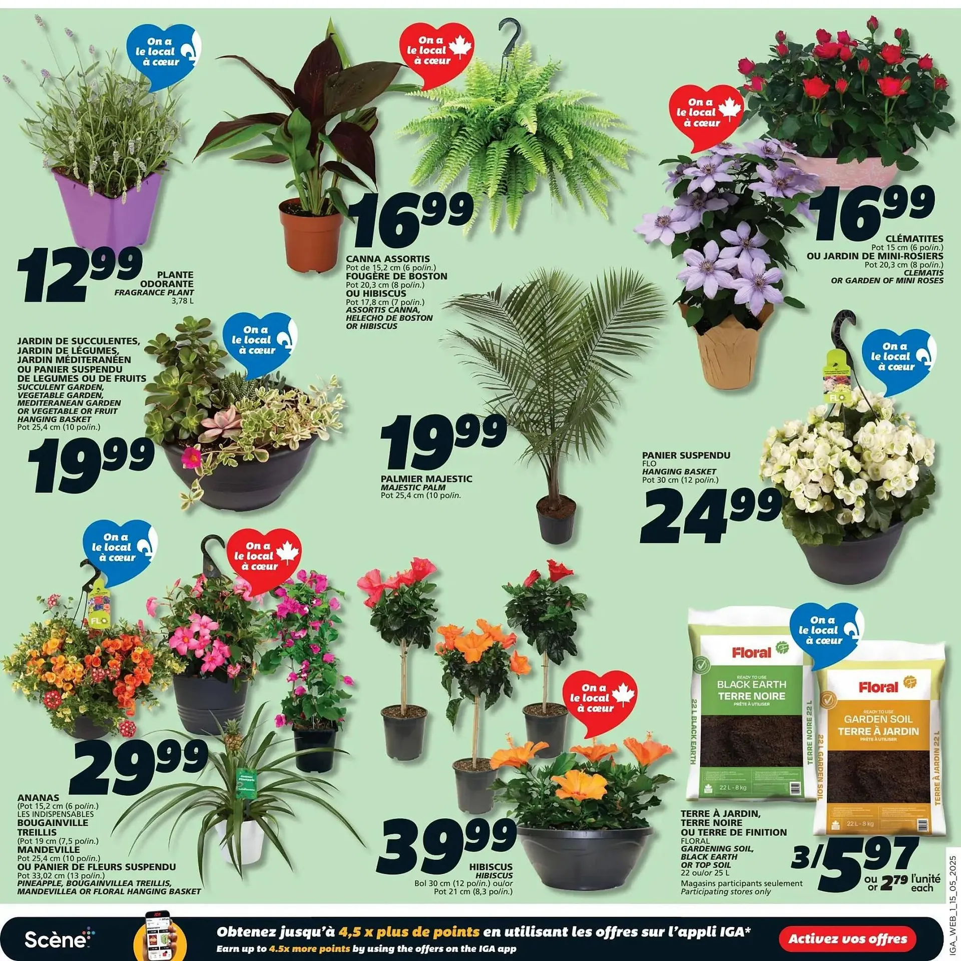 IGA flyer from May 15 to May 21 2025 - flyer page 10