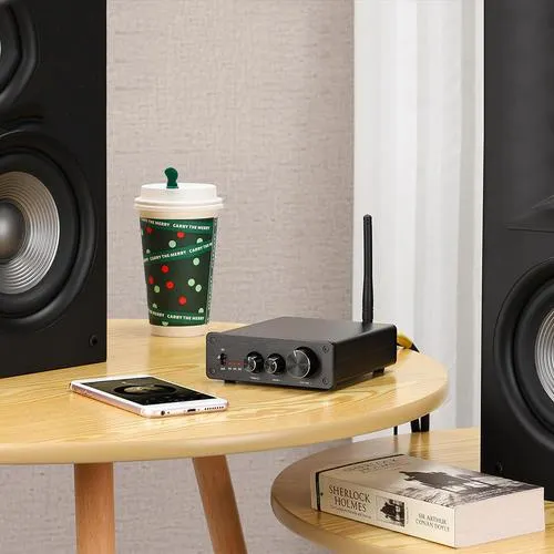 Bluetooth 5.0 100W Stereo Audio 2 Channel Amplifier With BT Receiver - PrimeCables®