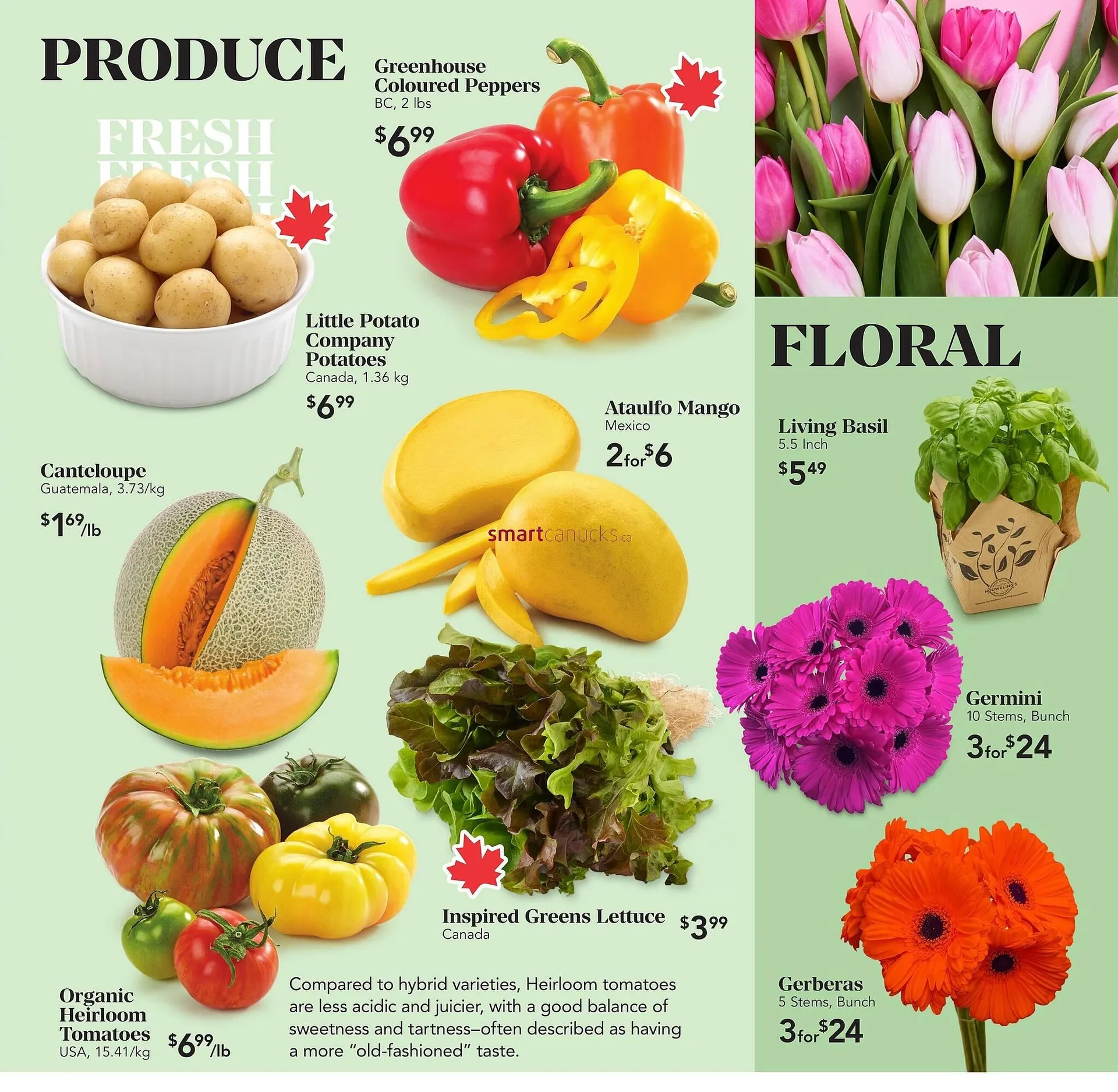 Urban Fare flyer from May 15 to May 21 2025 - flyer page 4