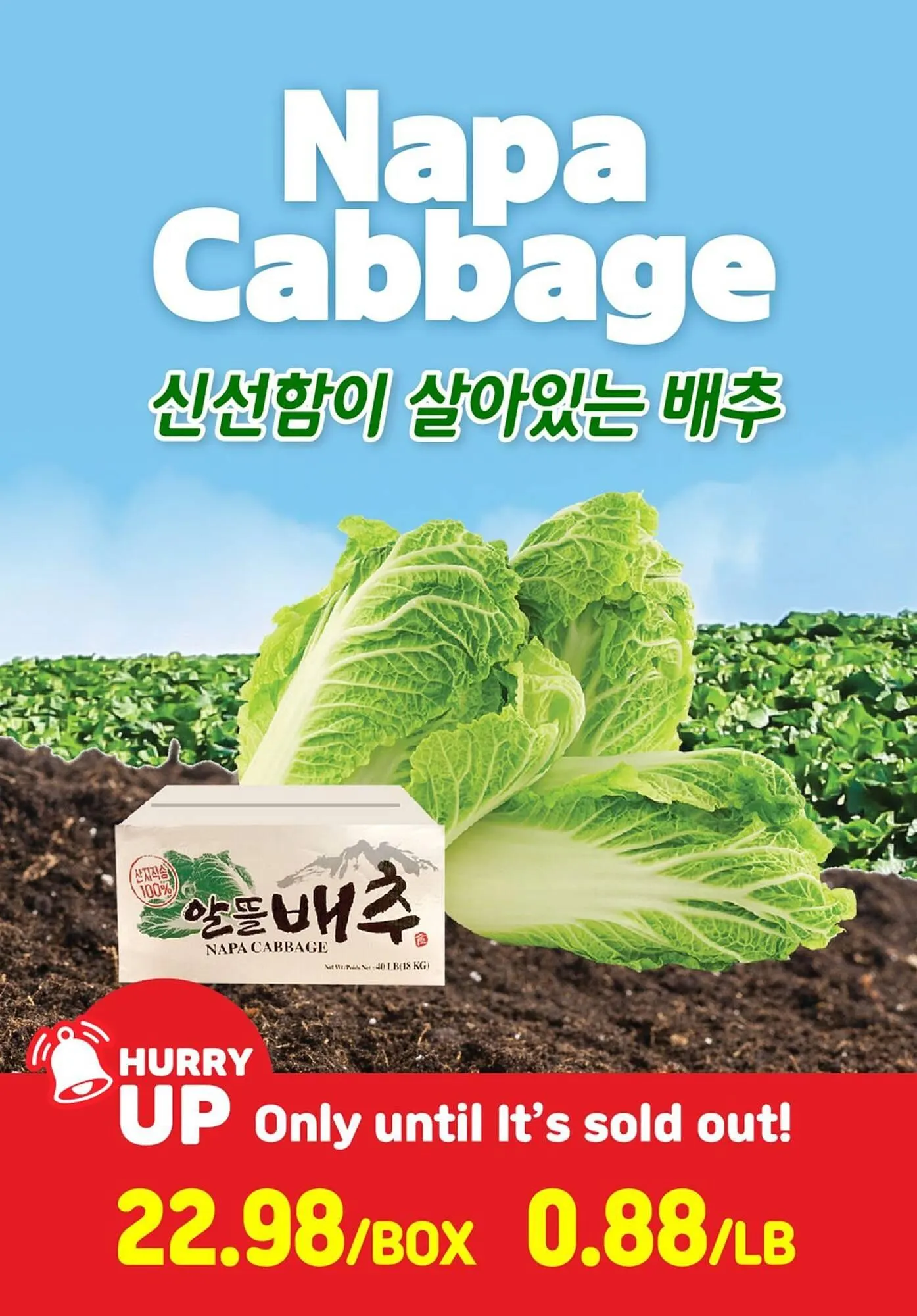 H-Mart flyer from April 18 to April 24 2025 - flyer page 2