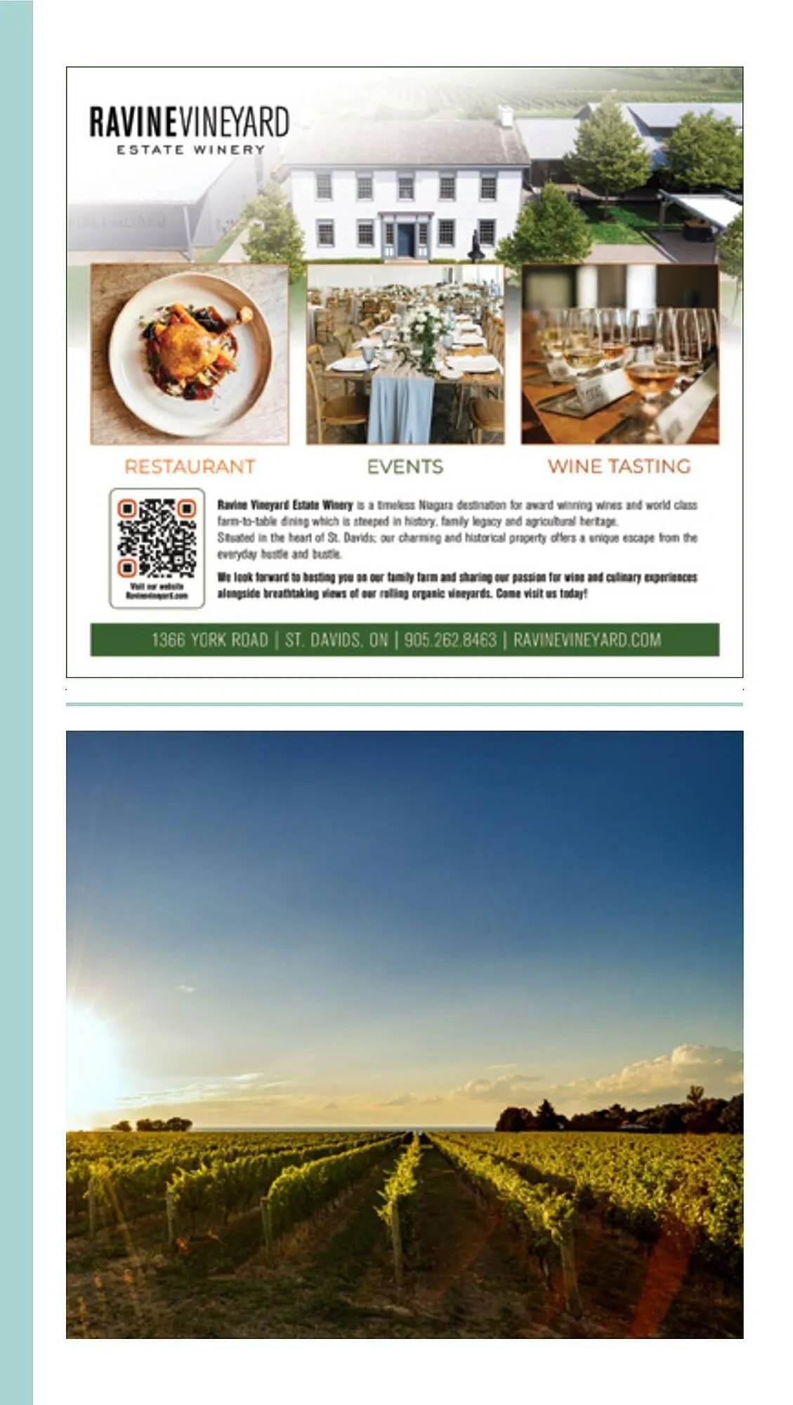 LCBO flyer from May 9 to May 15 2025 - flyer page 204