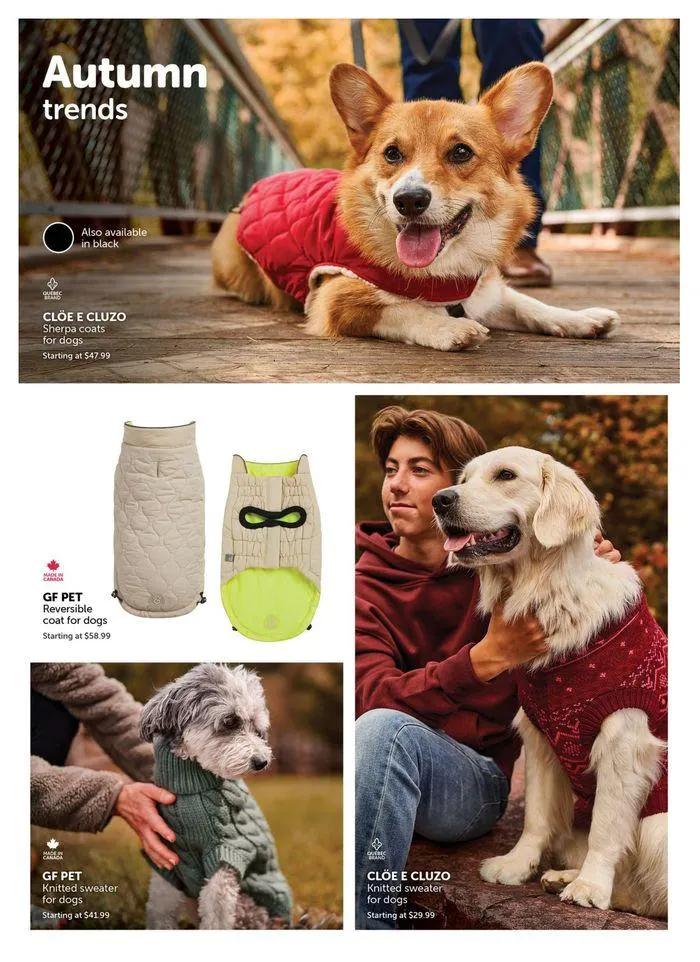 Flyer from September 9 to October 31 2024 - flyer page 3