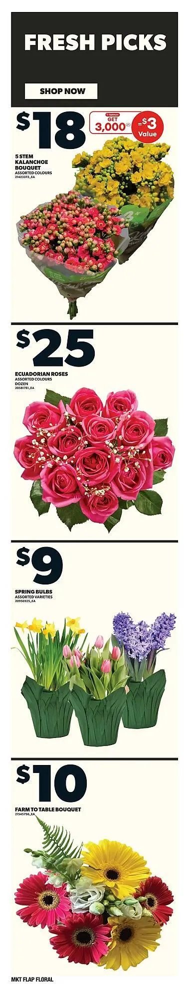 Loblaws flyer from March 27 to April 2 2025 - flyer page 10