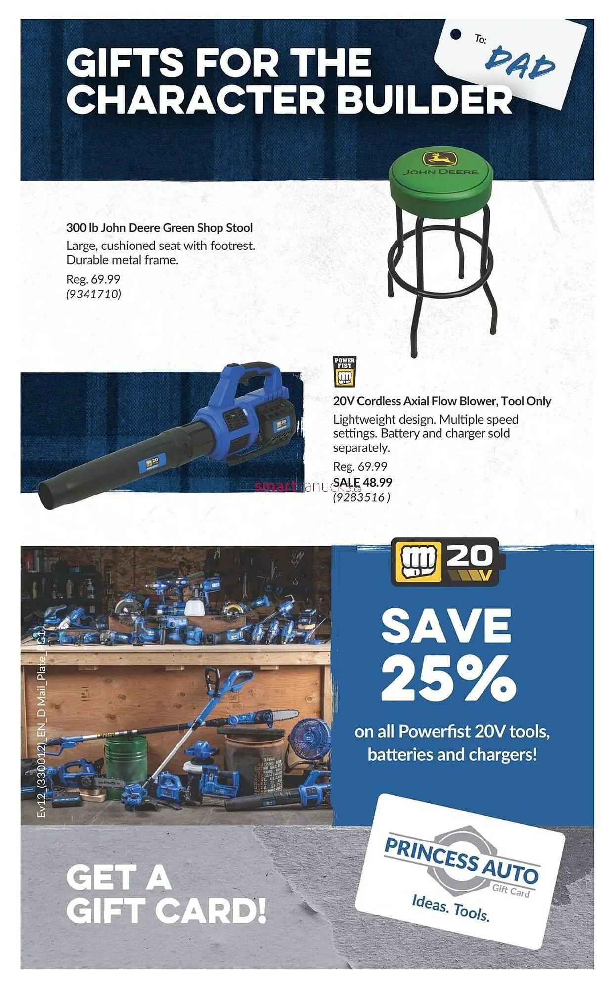 Princess Auto flyer from May 28 to June 3 2025 - flyer page 14