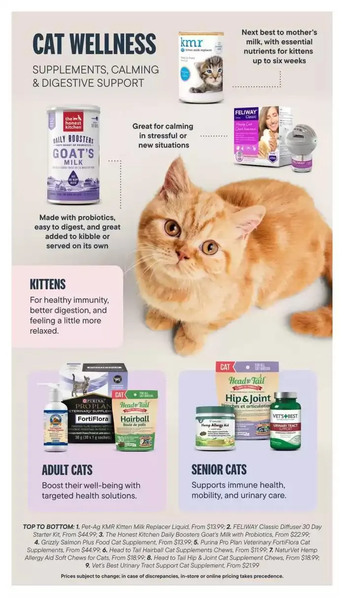 Devoted Cat Parent Guide from March 3 to March 31 2025 - flyer page 14