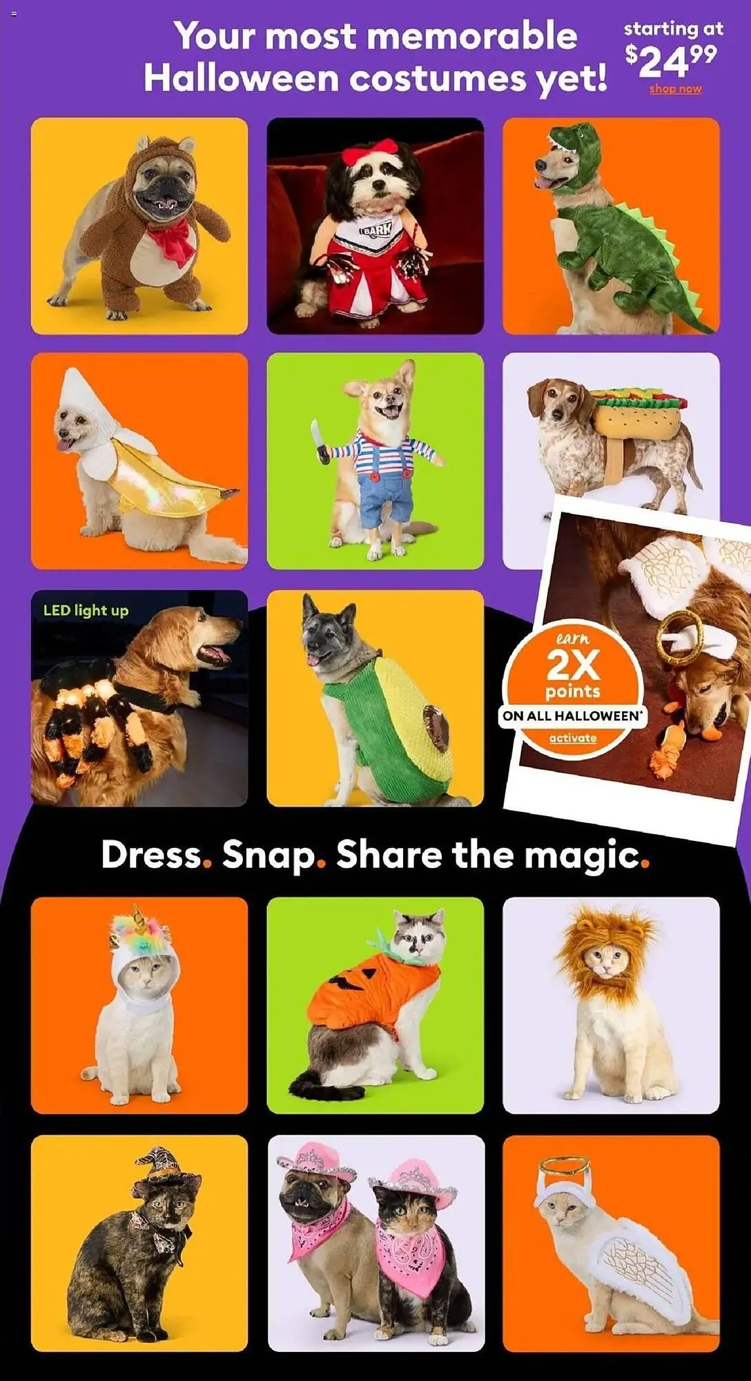 Petsmart flyer from September 8 to October 31 2025 - flyer page 2