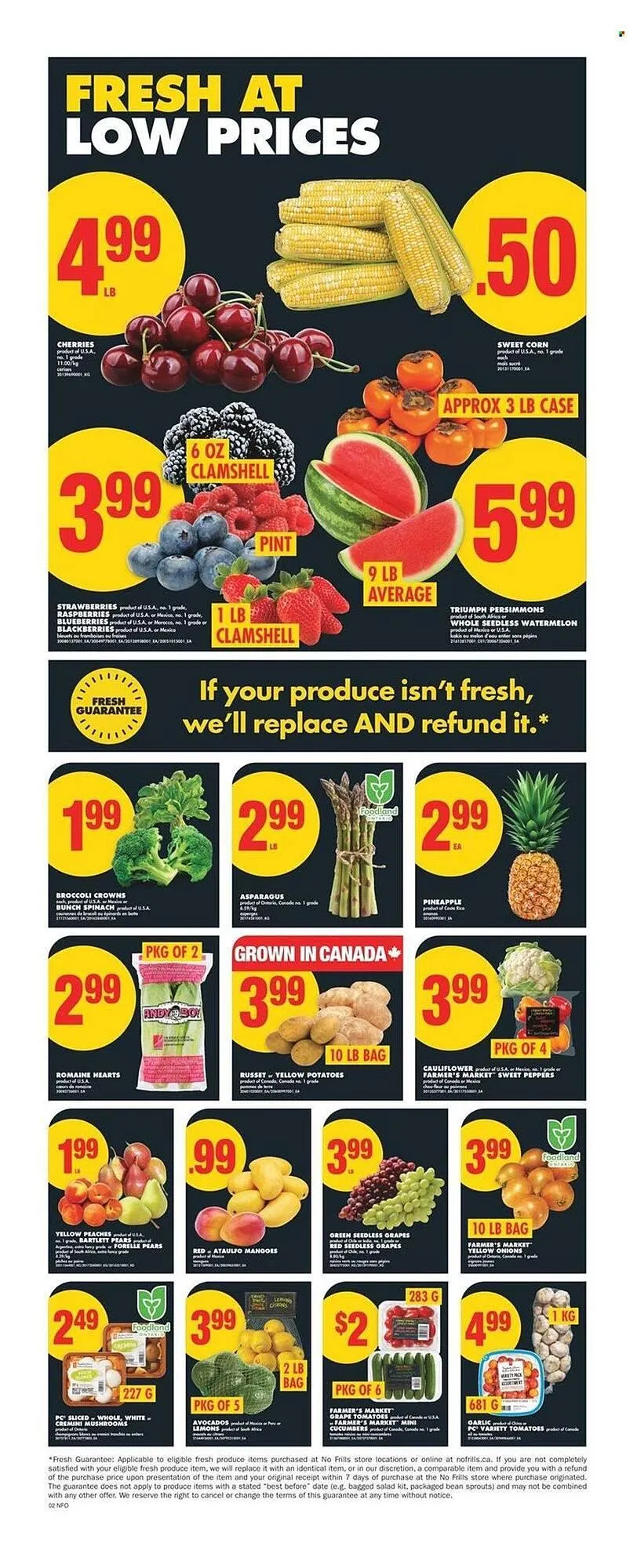 No Frills flyer from May 29 to June 4 2025 - flyer page 3