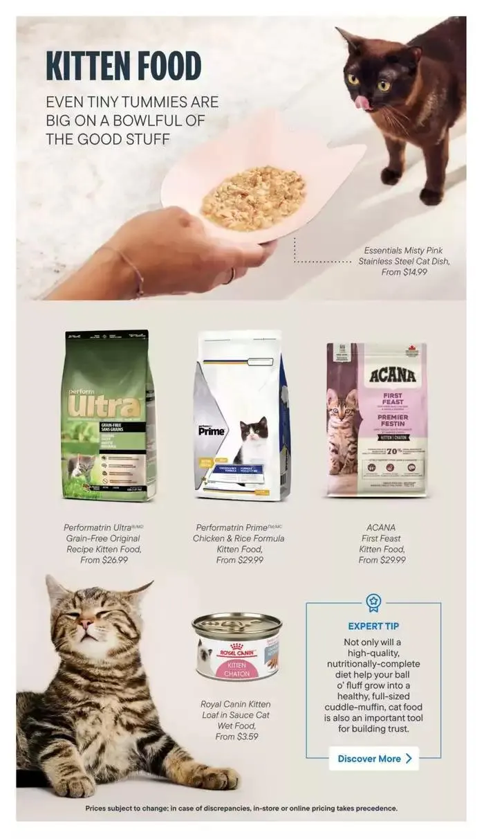 Devoted Cat Parent Guide from March 3 to March 31 2025 - flyer page 7