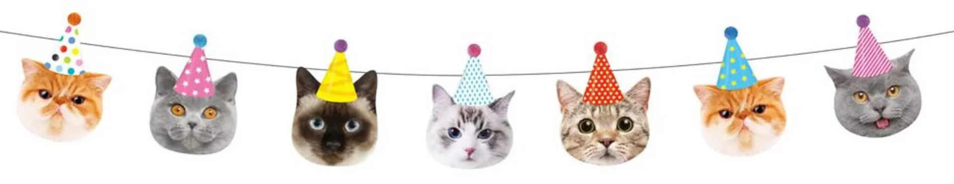 Cat Banner