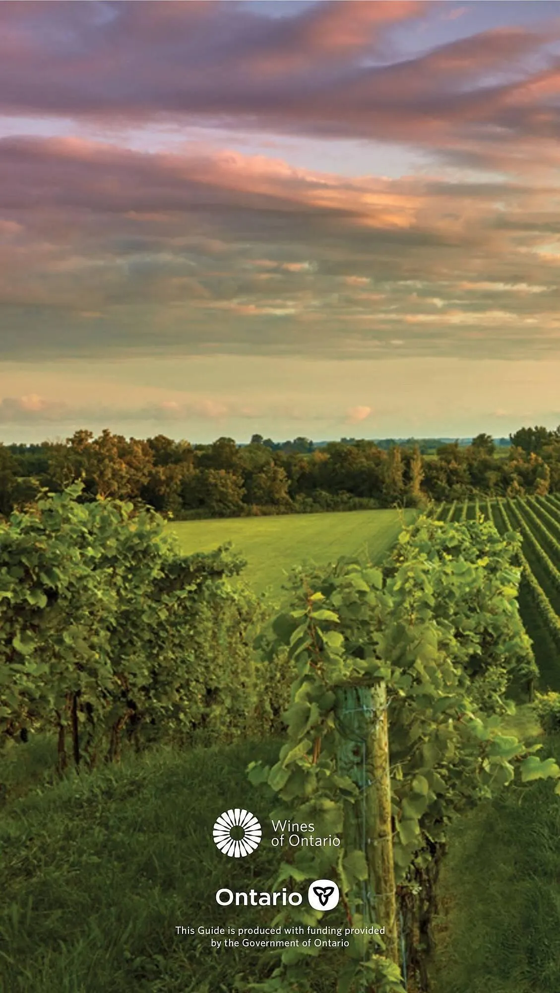 LCBO flyer from May 9 to May 15 2025 - flyer page 220