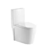 Tyrone-W 4/6.0 LPF Dual Flush Standard Height Concealed One-Piece Toilet in Matte White
