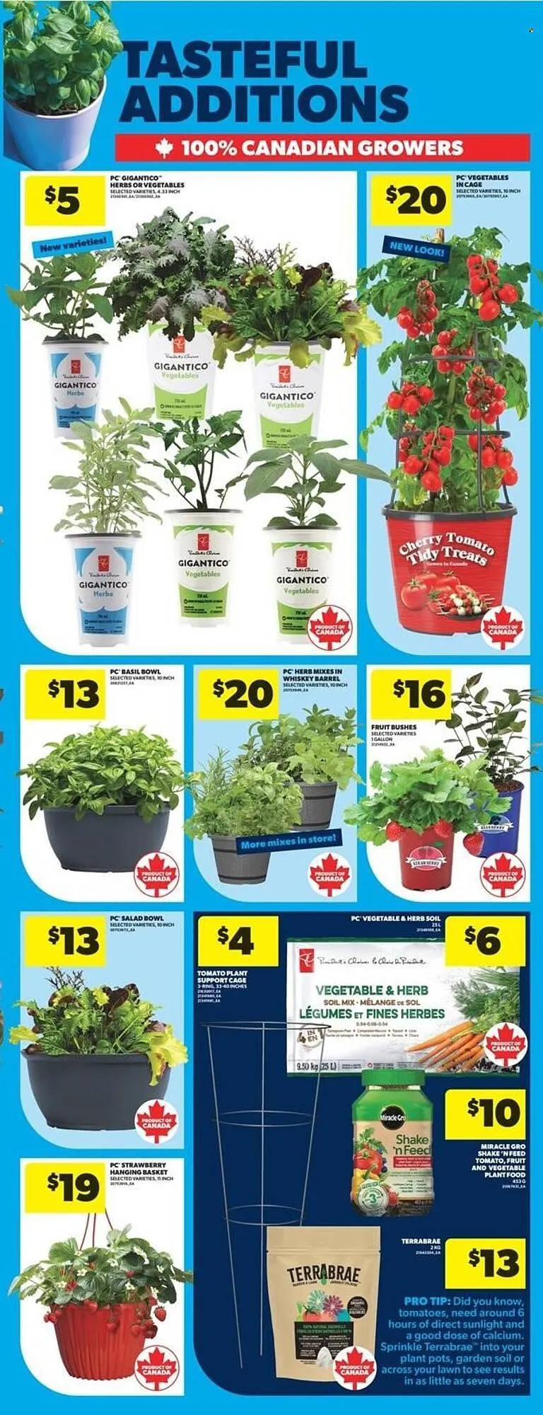 Real Canadian Superstore flyer from May 15 to May 21 2025 - flyer page 37