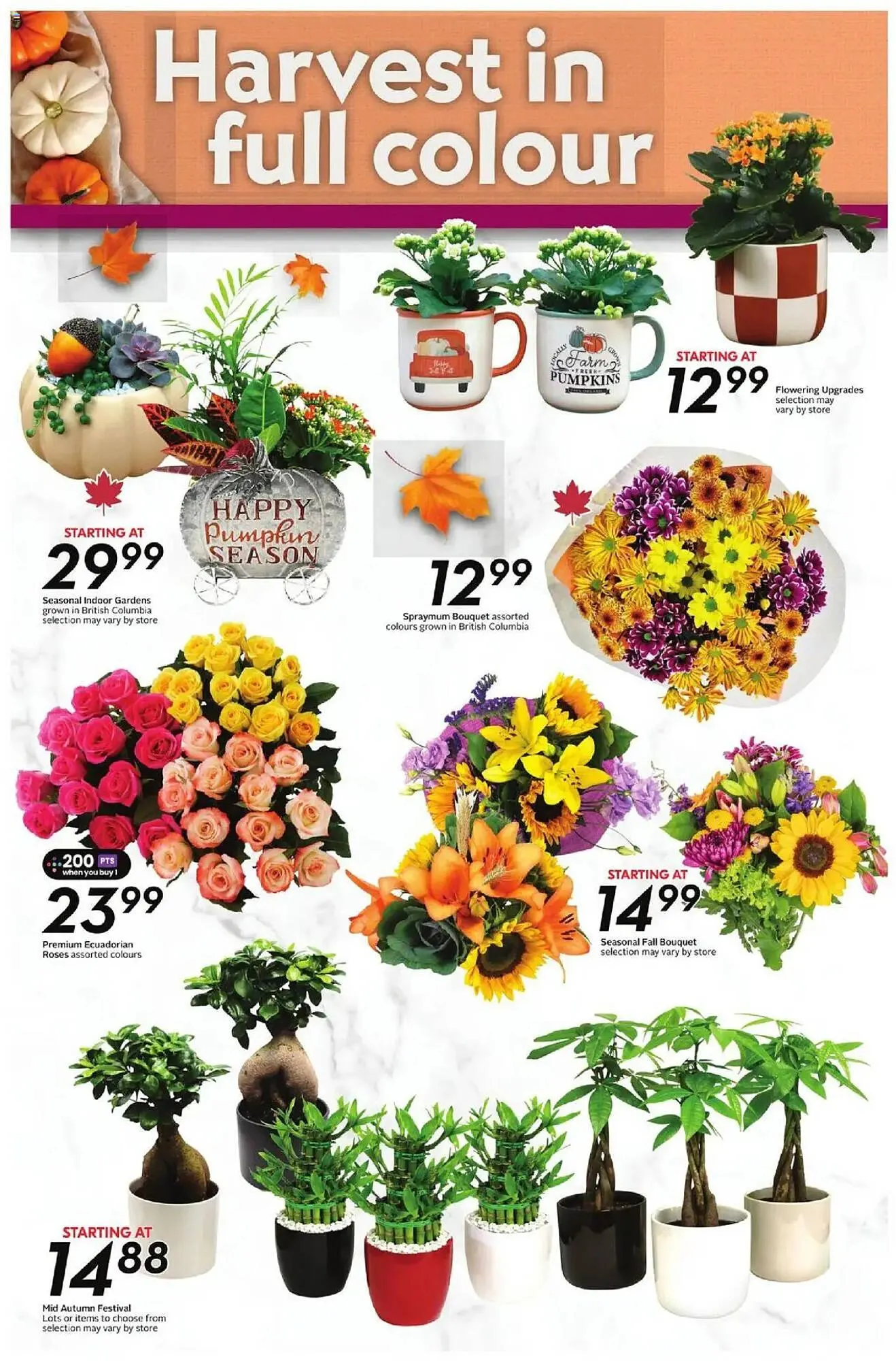 Safeway flyer from October 2 to October 8 2025 - flyer page 22