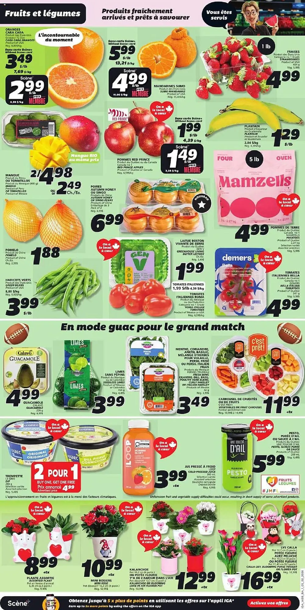 IGA flyer from February 5 to February 12 2026 - flyer page 3