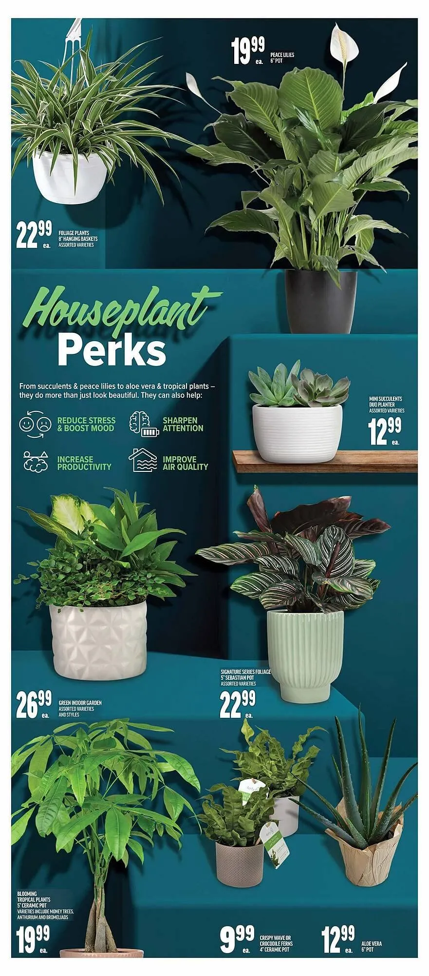 Metro flyer from January 16 to January 23 2025 - flyer page 6