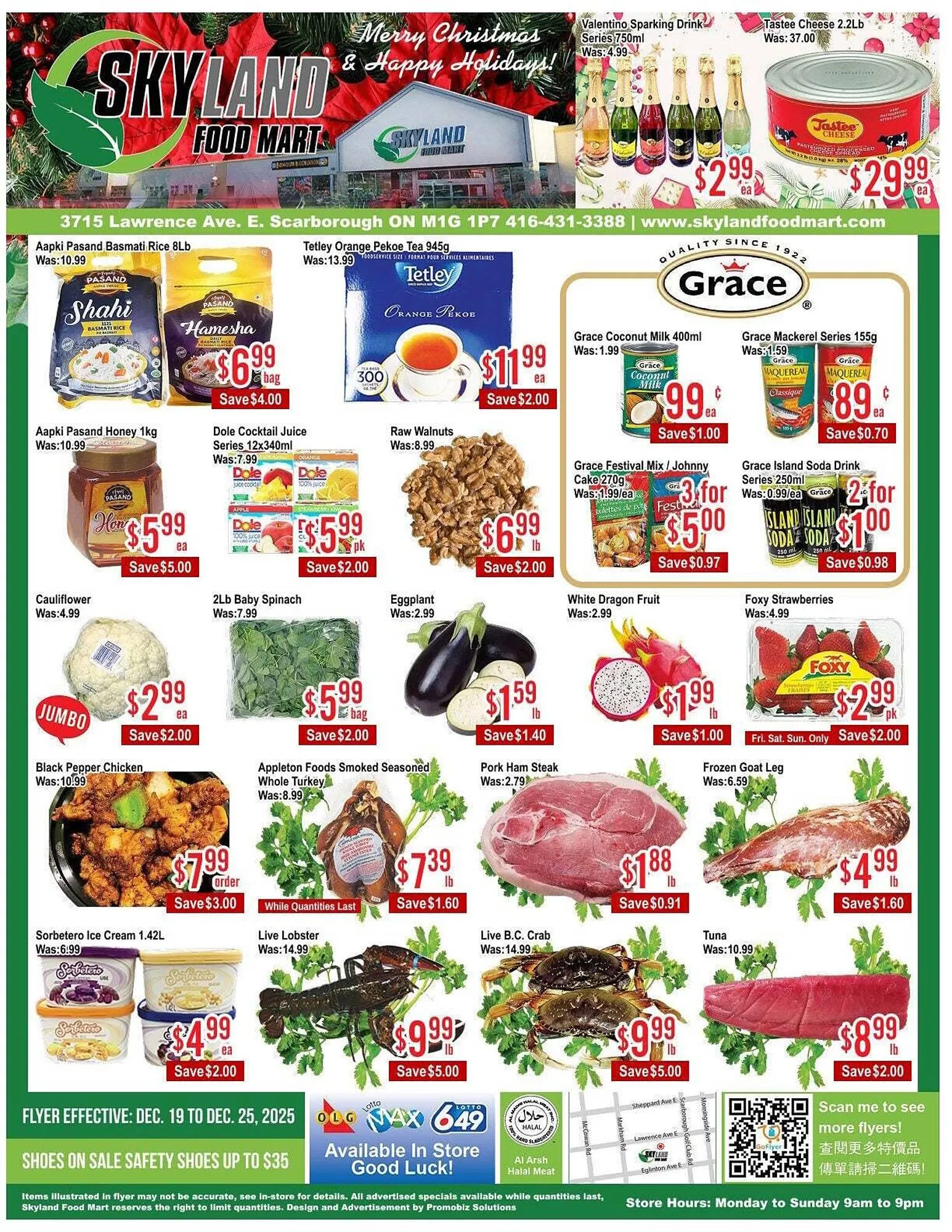 Skyland Foodmart flyer from December 19 to December 26 2025 - flyer page 1