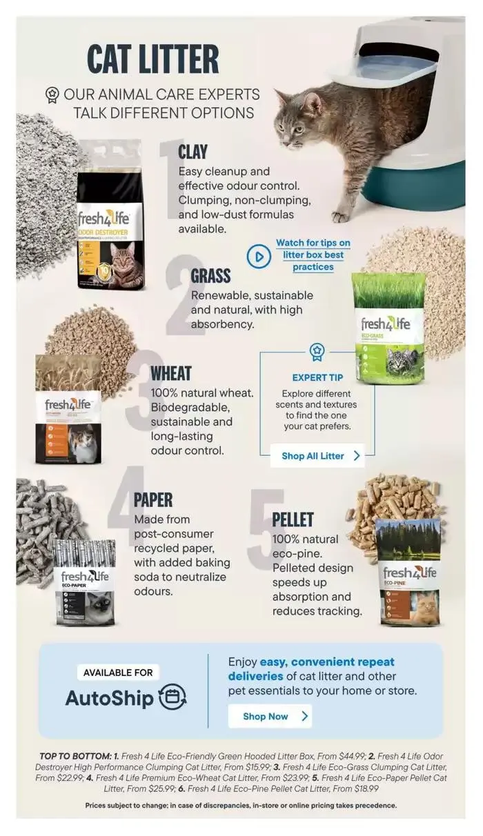 Devoted Cat Parent Guide from March 3 to March 31 2025 - flyer page 15