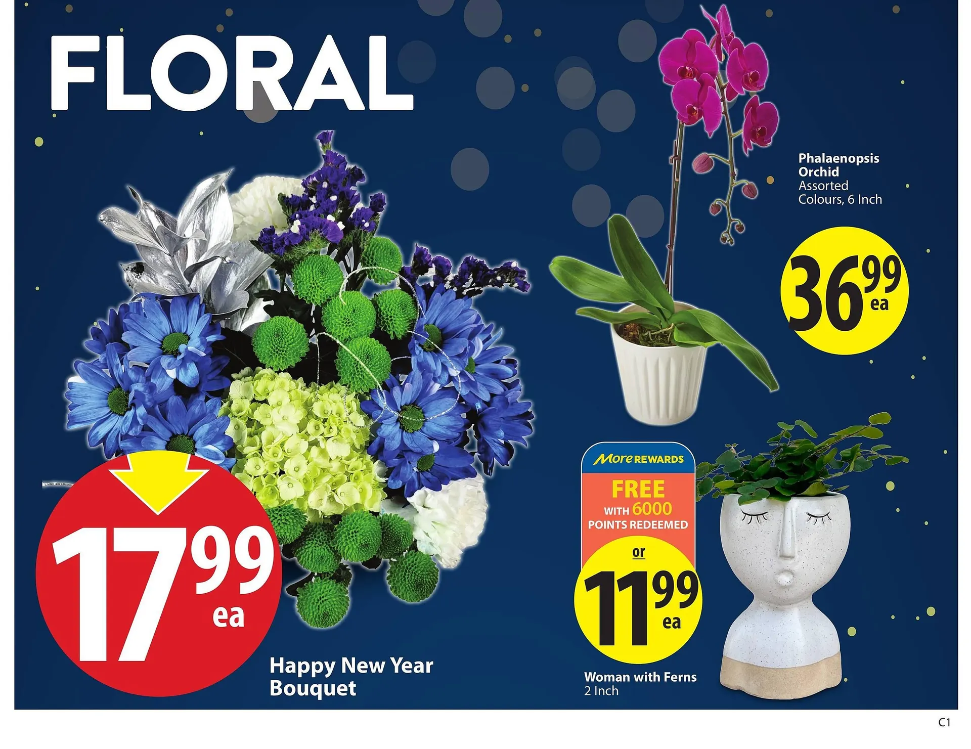 Save on Foods flyer from December 26 to January 1 2025 - flyer page 4