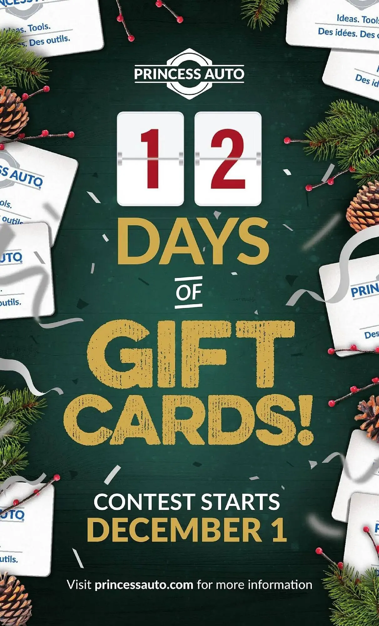 Princess Auto flyer from November 18 to December 1 2025 - flyer page 119