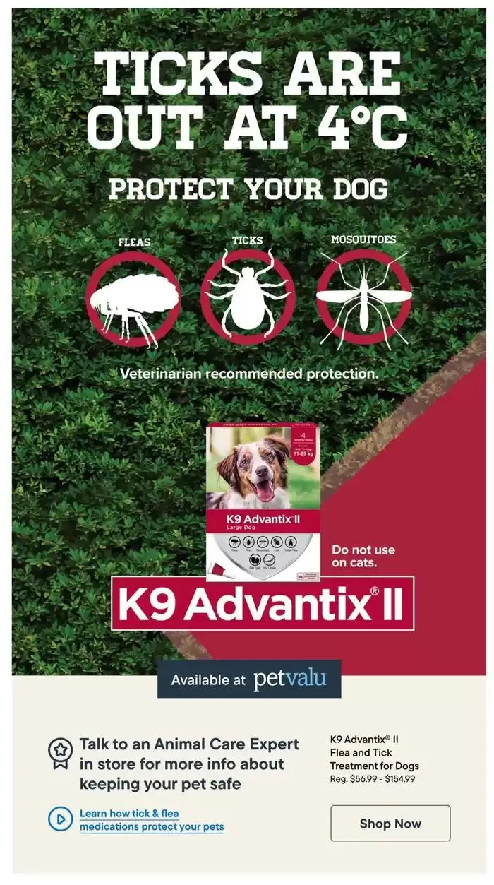 Seet Deals from January 30 to February 12 2025 - flyer page 12