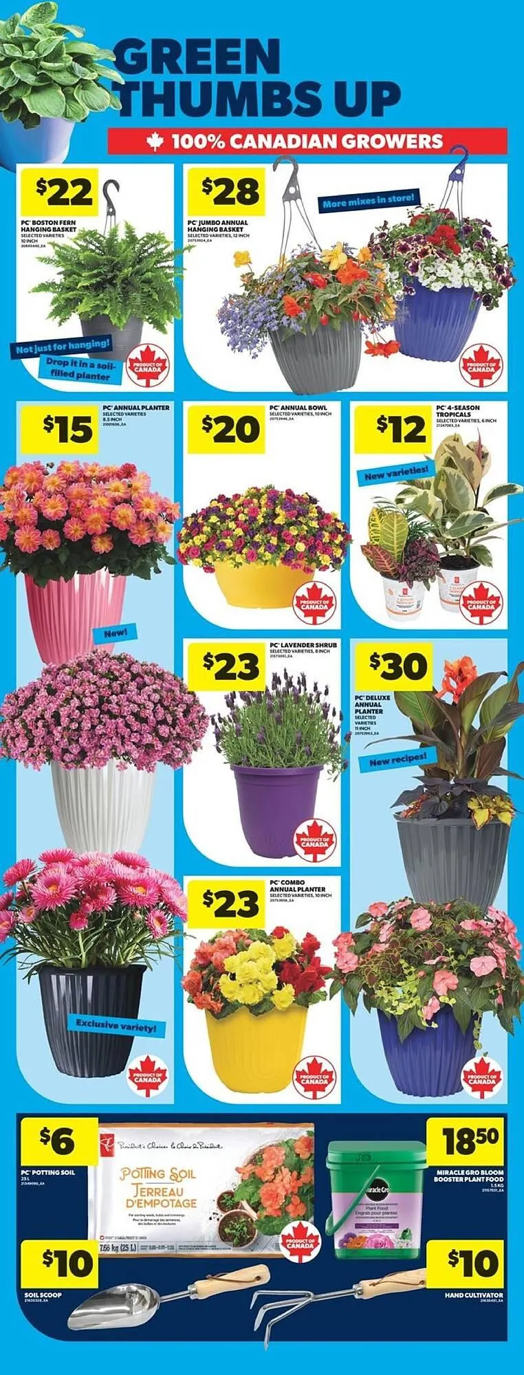 Real Canadian Superstore flyer from May 1 to May 8 2025 - flyer page 11