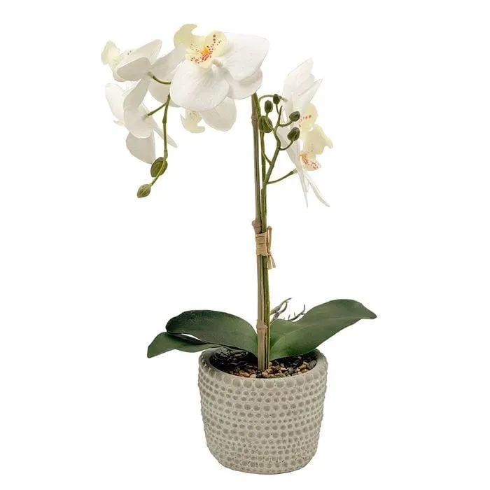 Un-Real 38cm White Artificial Orchid Flowers In Decor Pot