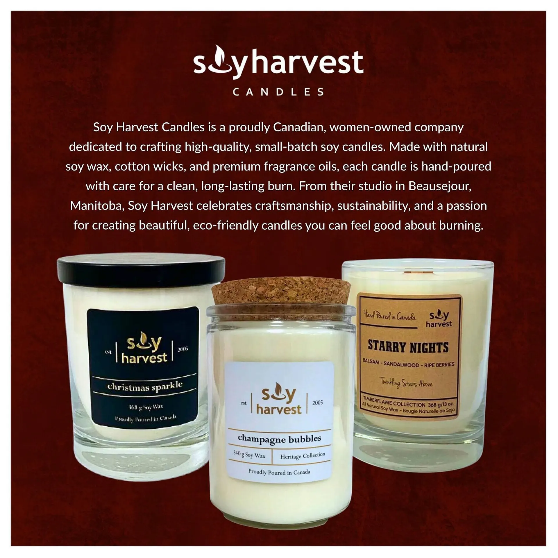 Goodness Me flyer from October 29 to November 4 2025 - flyer page 13