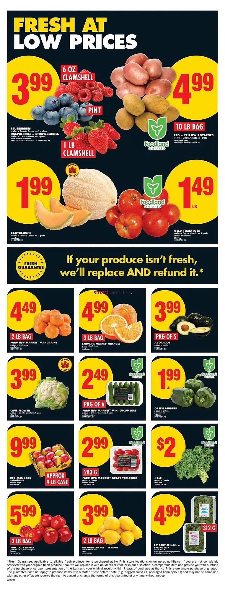 No Frills flyer from August 14 to August 20 2025 - flyer page 5