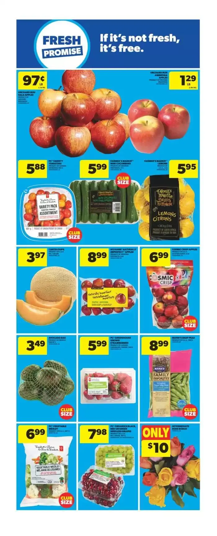 Exclusive deals and bargains from October 17 to October 23 2024 - flyer page 10