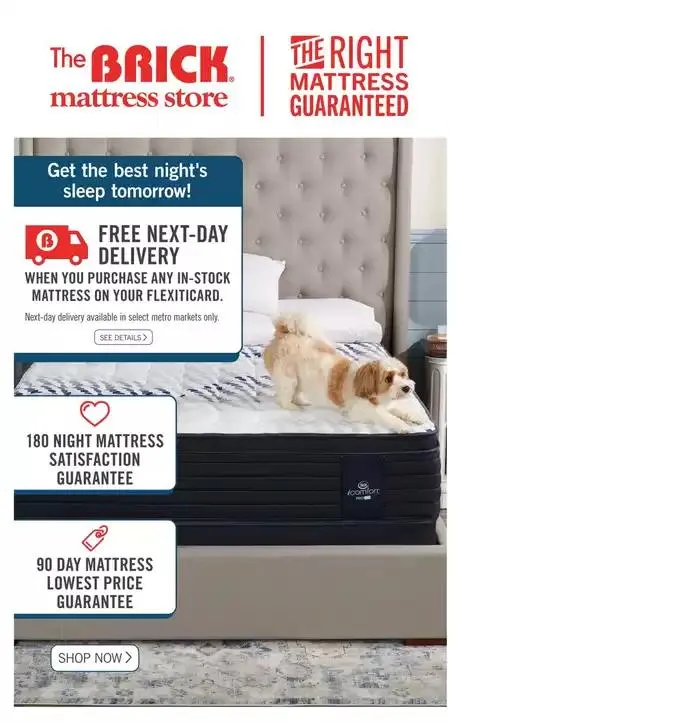 Brick Mattress Store from February 28 to March 12 2025 - flyer page 10