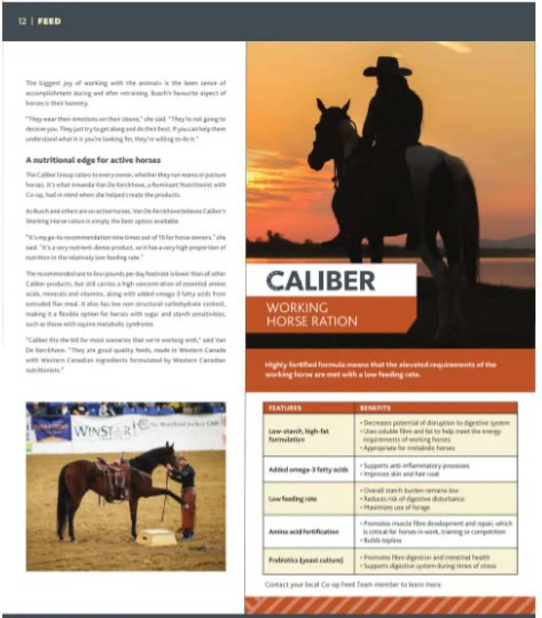 Co-Op Food flyer from July 2 to July 31 2025 - flyer page 13