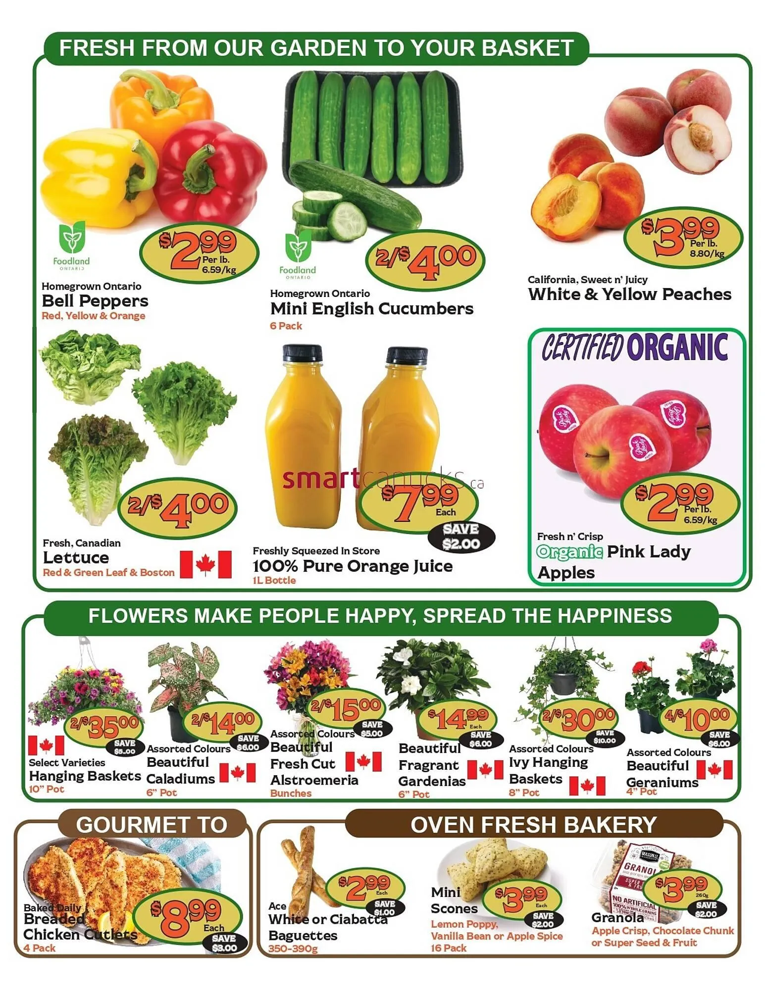 The Garden Basket flyer from June 19 to June 25 2025 - flyer page 2