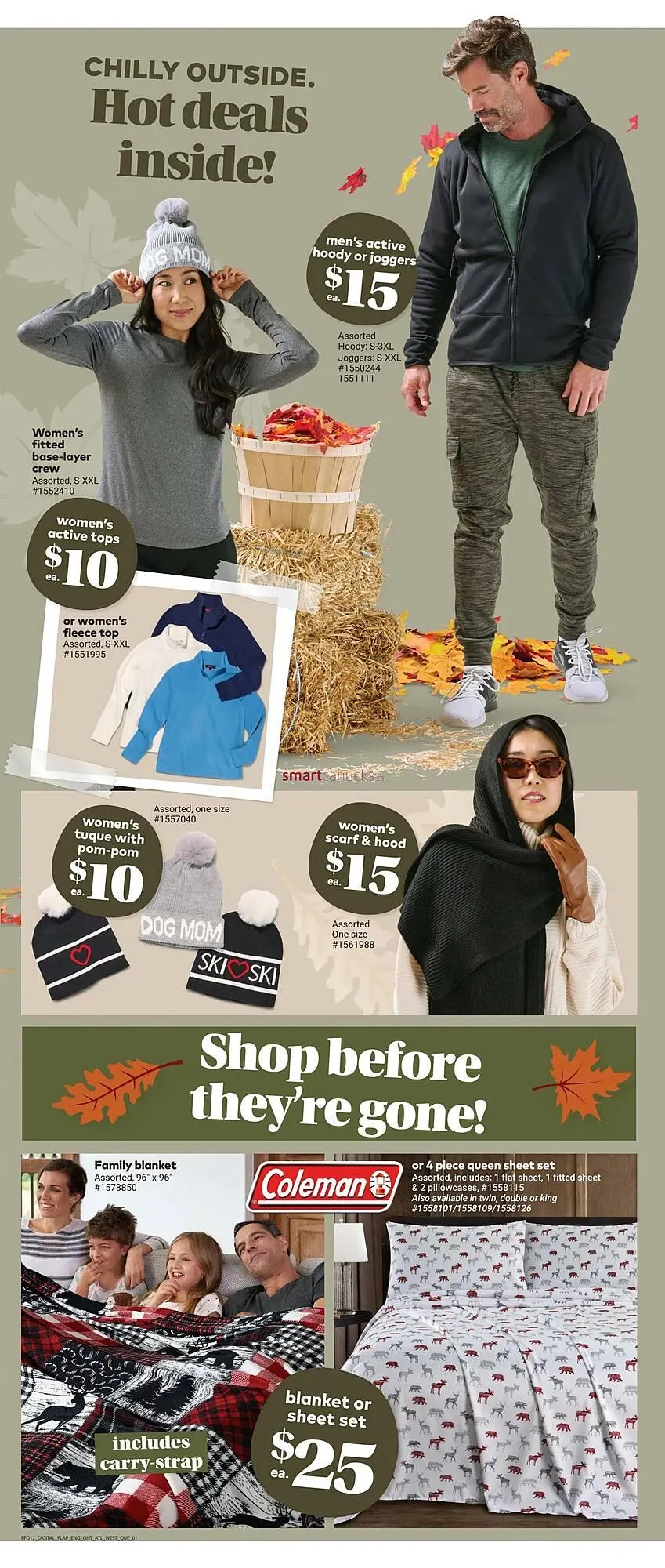 Giant Tiger flyer from October 22 to October 28 2025 - flyer page 4