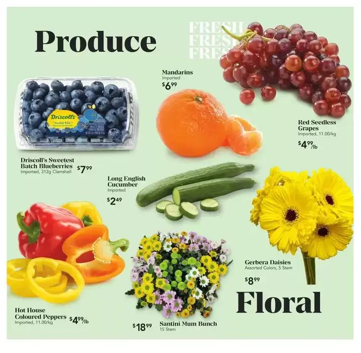 Weekly Flyer from January 9 to January 15 2025 - flyer page 2