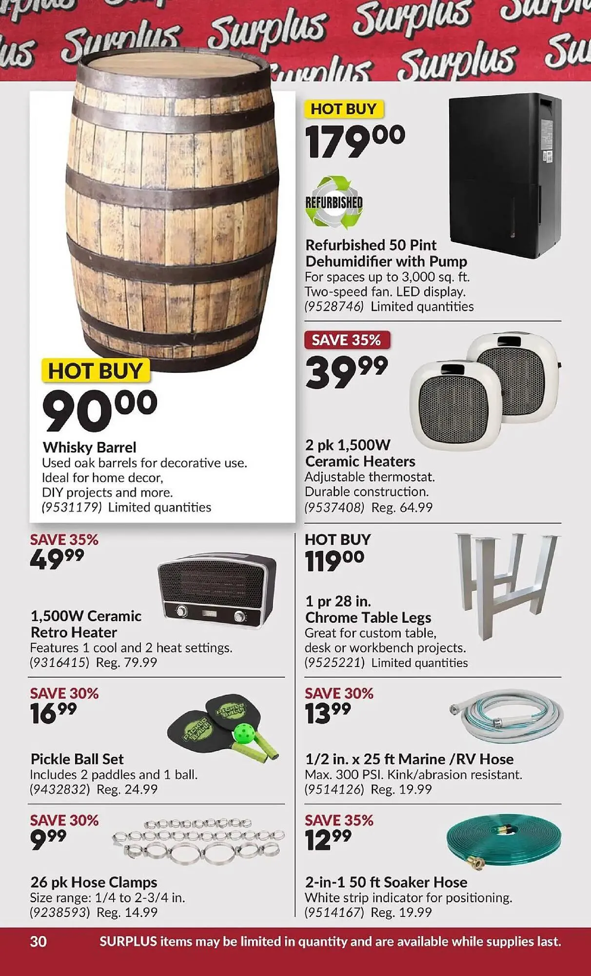 Princess Auto flyer from January 13 to January 25 2026 - flyer page 36