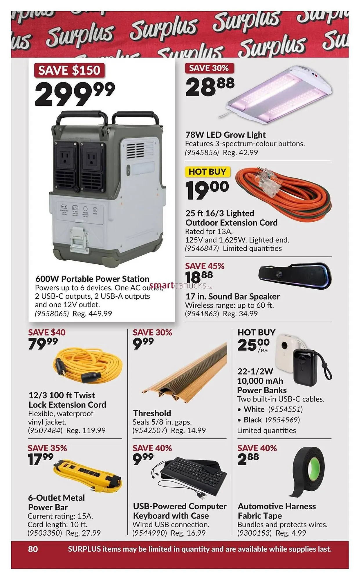 Princess Auto flyer from March 10 to March 22 2026 - flyer page 85