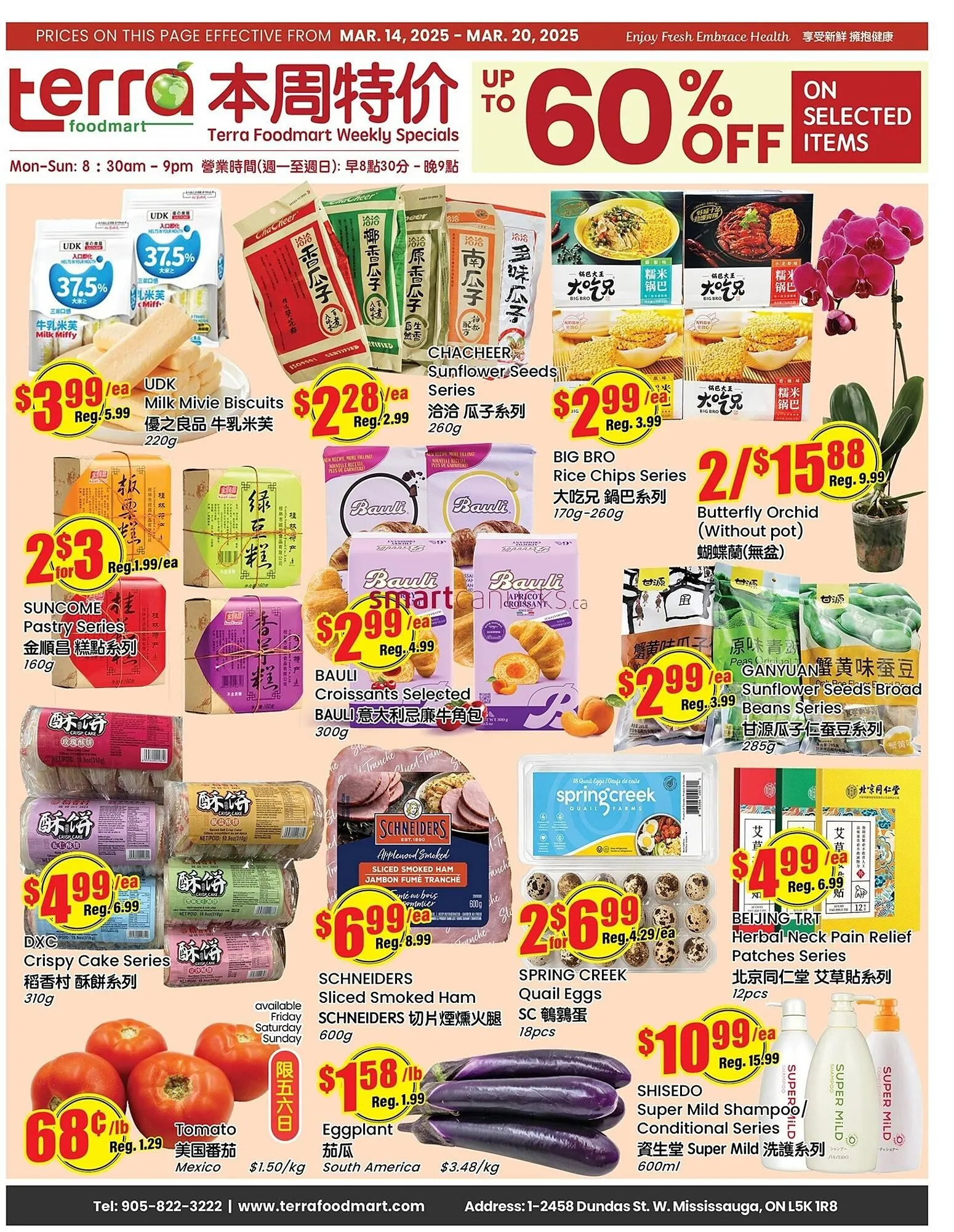 Terra Foodmart flyer - 1