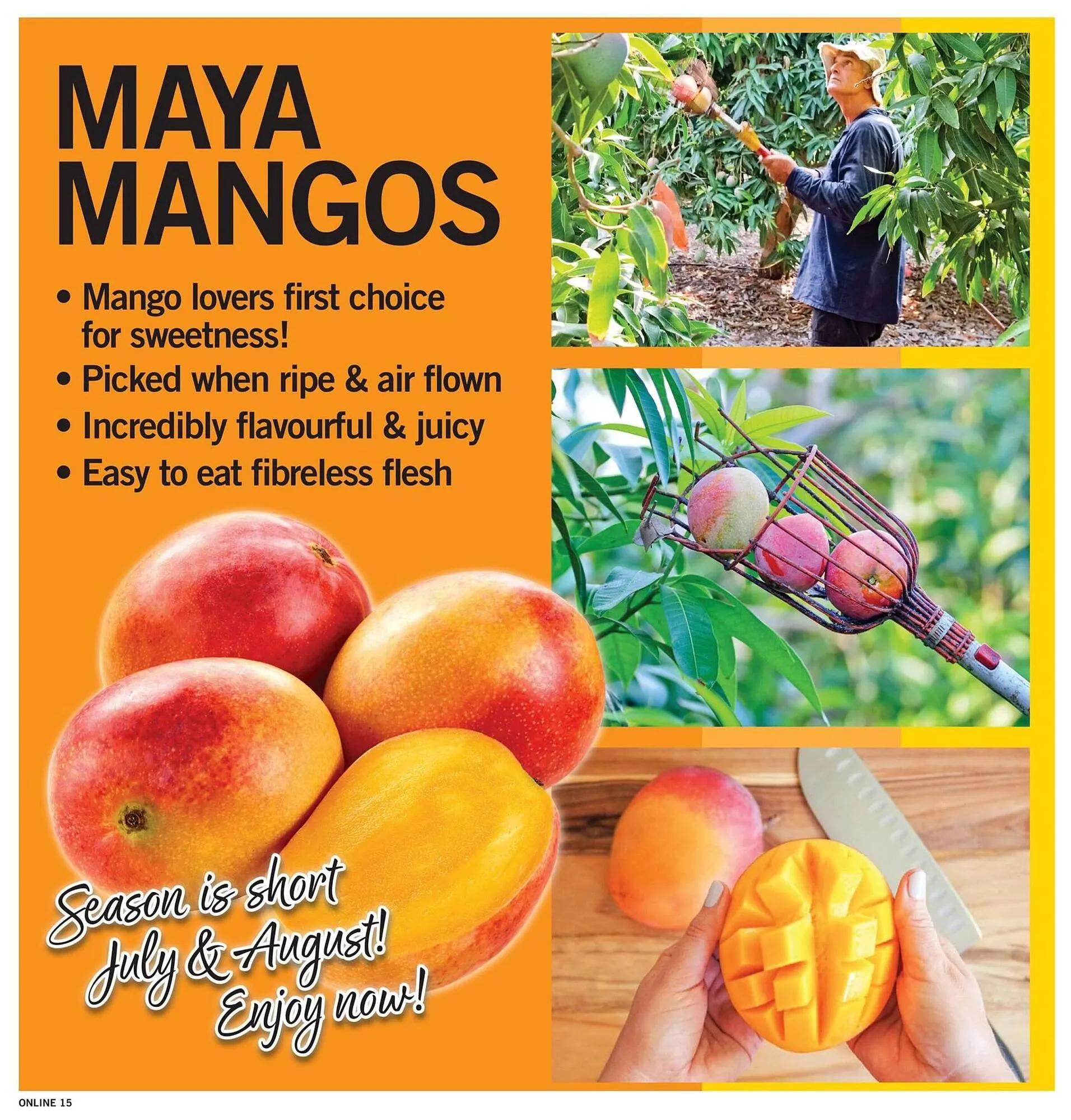 Fortinos flyer from July 24 to July 30 2025 - flyer page 15