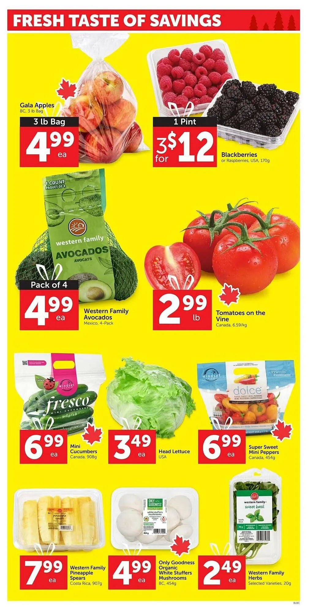 Buy-Low Foods flyer from November 20 to November 26 2025 - flyer page 3