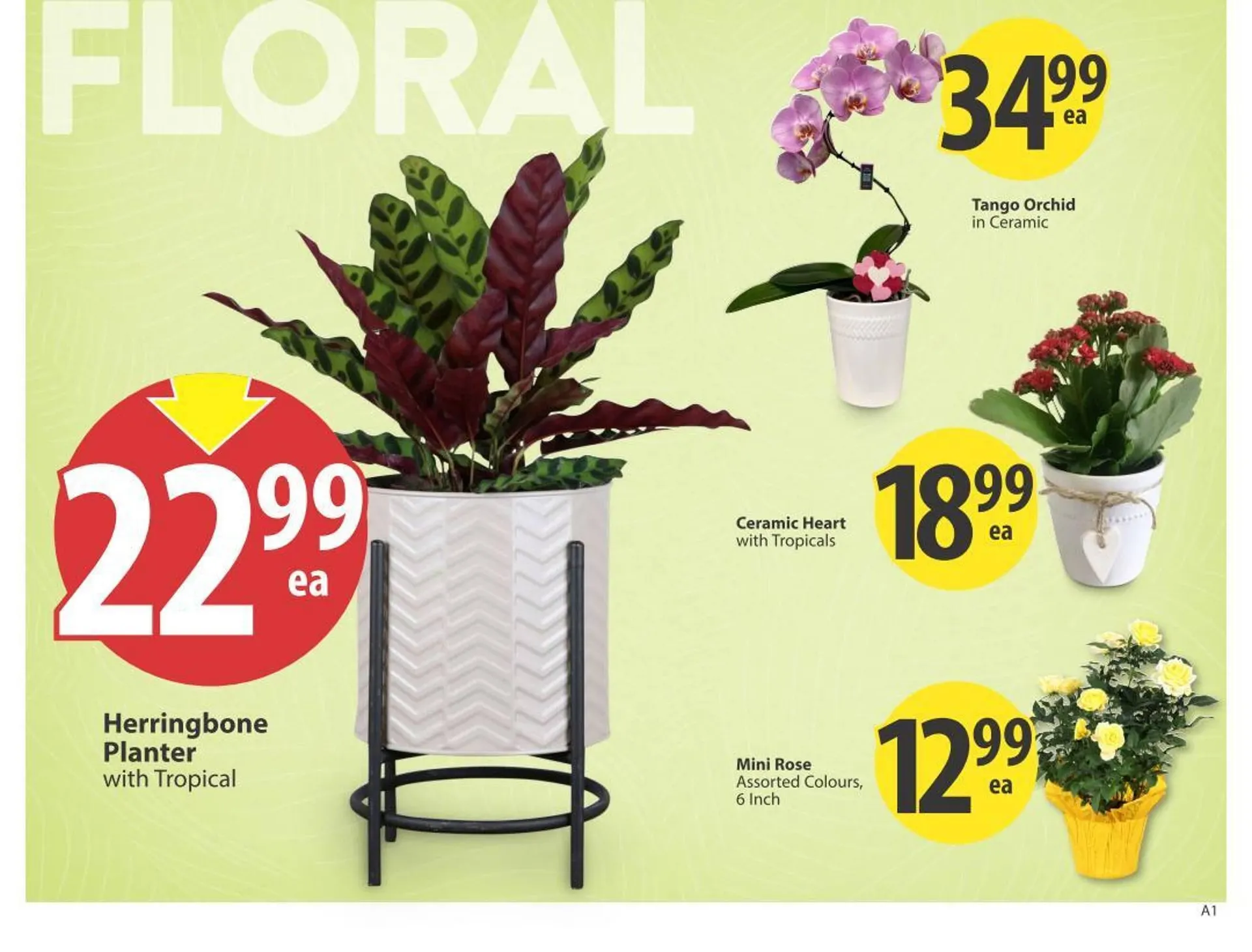 Save on Foods flyer from January 29 to February 4 2026 - flyer page 6